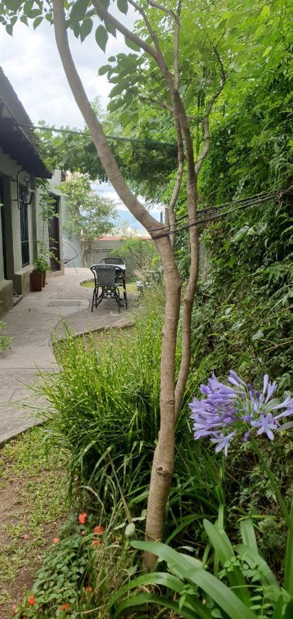 Los Tarcos Guest House San Salvador de Jujuy Exteriör bild