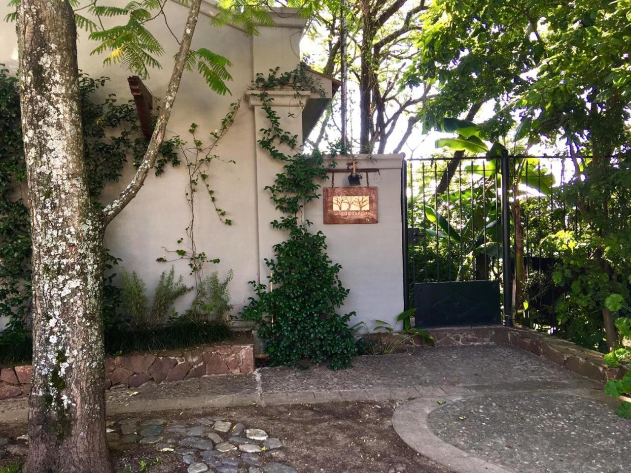 Los Tarcos Guest House San Salvador de Jujuy Exteriör bild